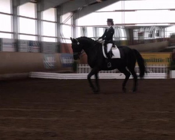 horse Dopacca (Hanoverian, 1999, from Donnerschlag)