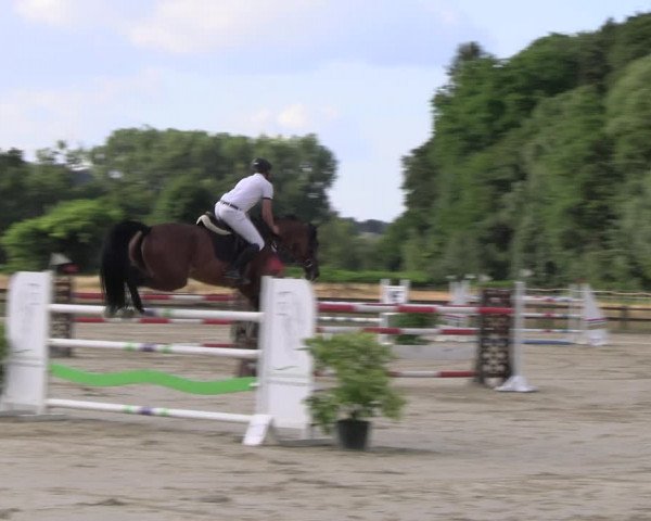 Reitturnier Hemer-Oese an der Edelburg 2022