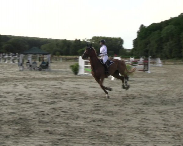 Reitturnier Hemer-Oese an der Edelburg 2022