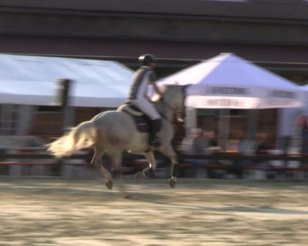 Reitturnier Hemer-Oese an der Edelburg 2022