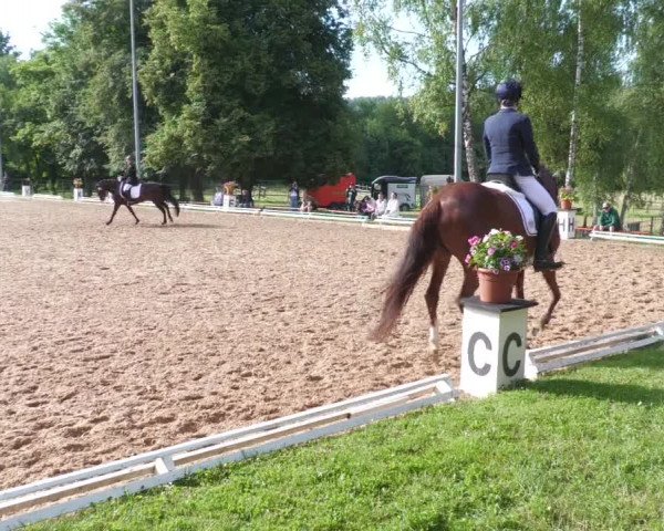 Reitturnier Nürtingen 2022