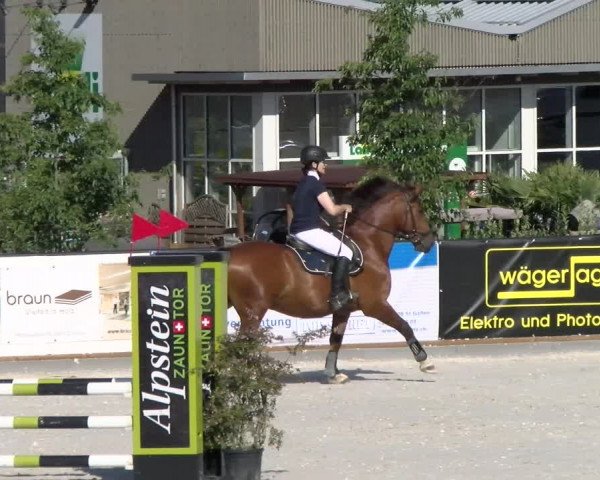 Reitturnier Gossau (Stall Sommersweid) 2022