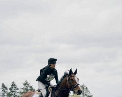 jumper Quentin 128 (Mecklenburg, 2010, from Quintender 2)