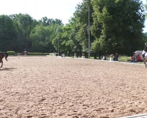 Reitturnier Nürtingen 2022
