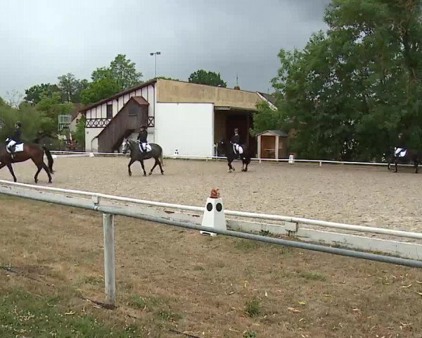 Reitturnier Hof-Haidt/Ofr. 2022