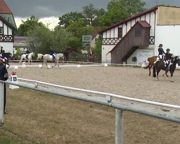 Reitturnier Hof-Haidt/Ofr. 2022