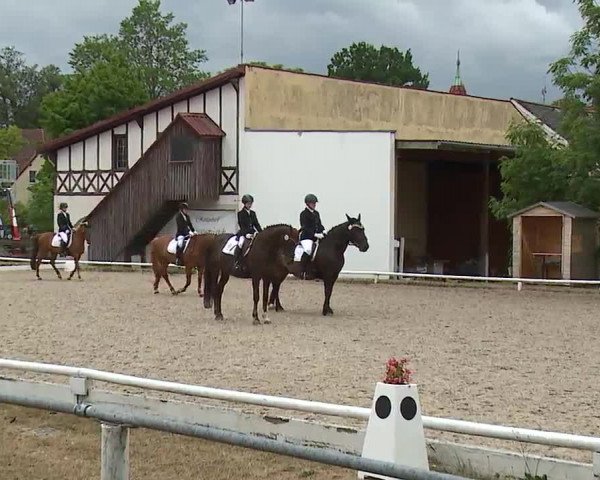 Reitturnier Hof-Haidt/Ofr. 2022
