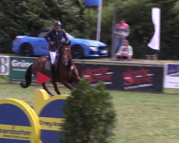 Reitturnier Moringen 2022