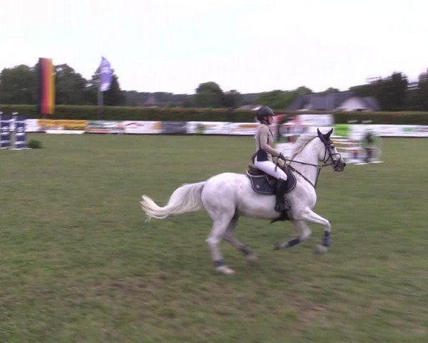 Reitturnier Moringen 2022