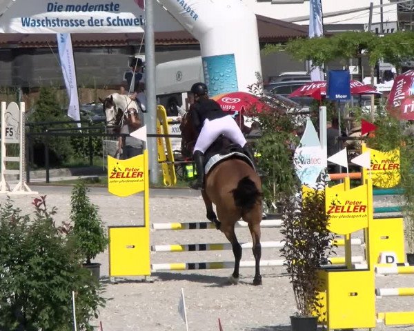 Reitturnier Gossau (Stall Sommersweid) 2022