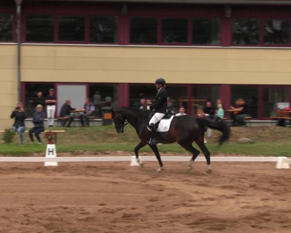 Reitturnier Prussendorf 2022