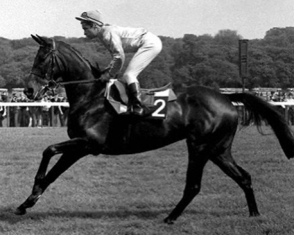 broodmare Koblenza xx (Thoroughbred, 1966, from Hugh Lupus xx)