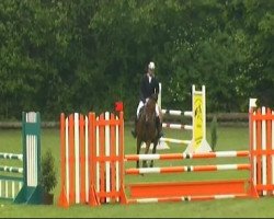 Springpferd Classic Scooby (Württemberger, 2005, von Crown Z)