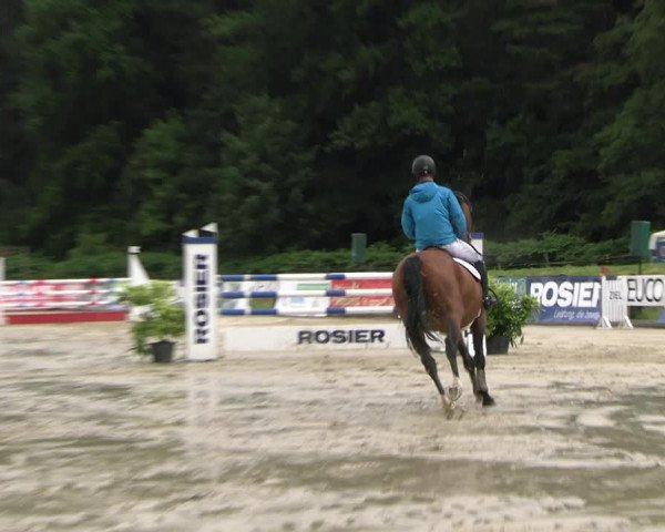 Reitturnier Hemer-Oese an der Edelburg 2022