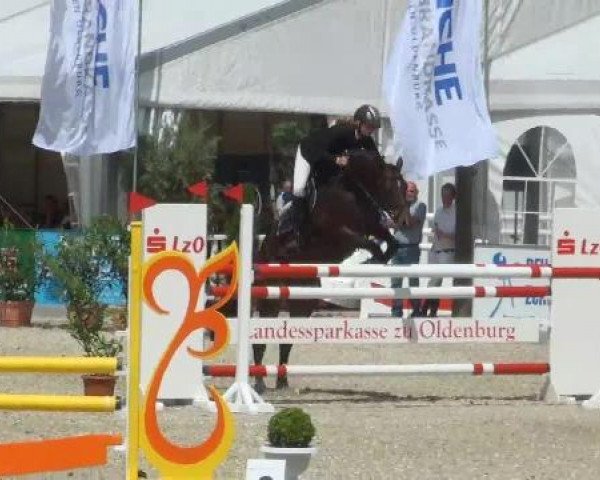 jumper Skyline B (Westphalian, 2007, from Sir Shutterfly)