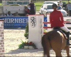 jumper Kasandro 2 (Saxony-Anhaltiner, 1995, from Kolibri 2705)