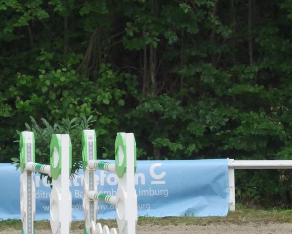 Reitturnier Hünfelden-Kirberg 2022