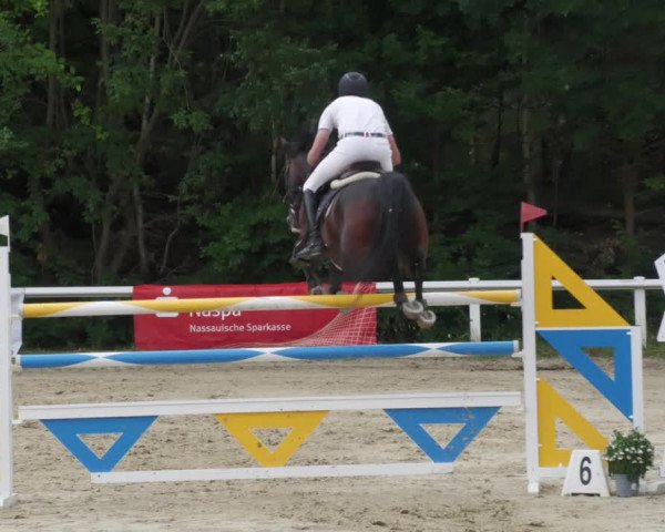Reitturnier Hünfelden-Kirberg 2022