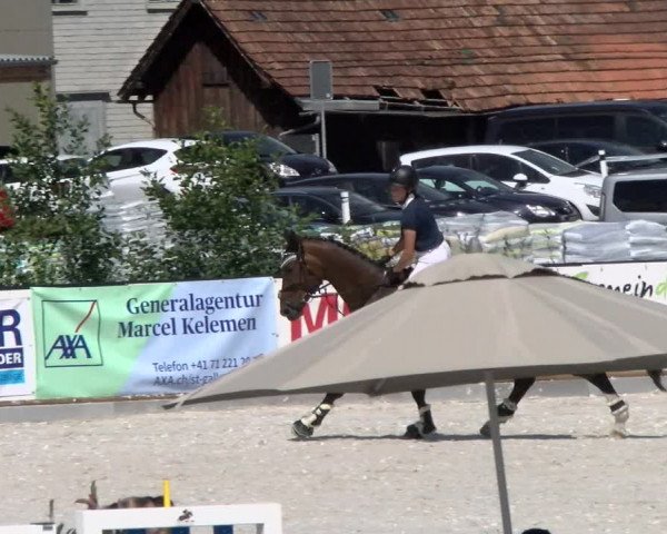 Reitturnier Gossau (Stall Sommersweid) 2022