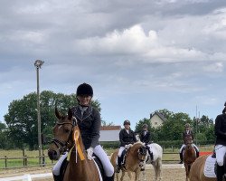 Pferd Karita G (Niederl. Pony m.arab.Blutant., 2016, von Orchard Red Prince)
