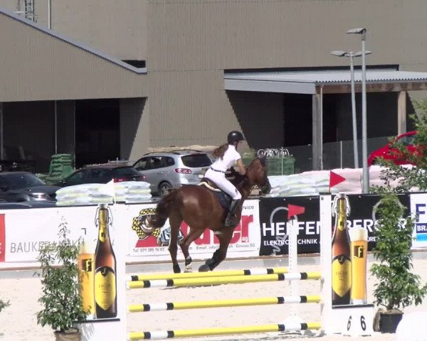 Reitturnier Gossau (Stall Sommersweid) 2022