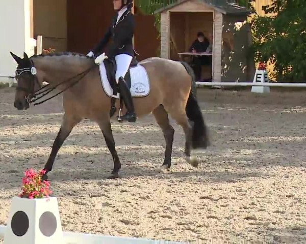Reitturnier Hof-Haidt/Ofr. 2022