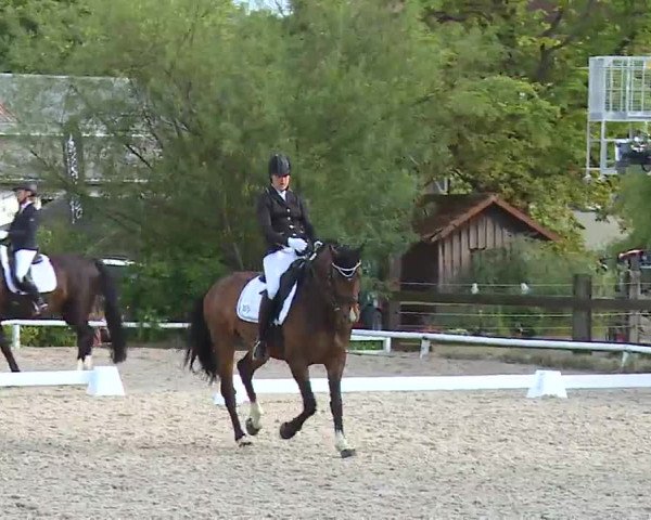 Reitturnier Hof-Haidt/Ofr. 2022