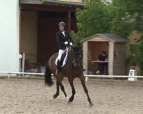 Reitturnier Hof-Haidt/Ofr. 2022
