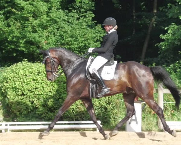 Reitturnier Nürtingen 2022