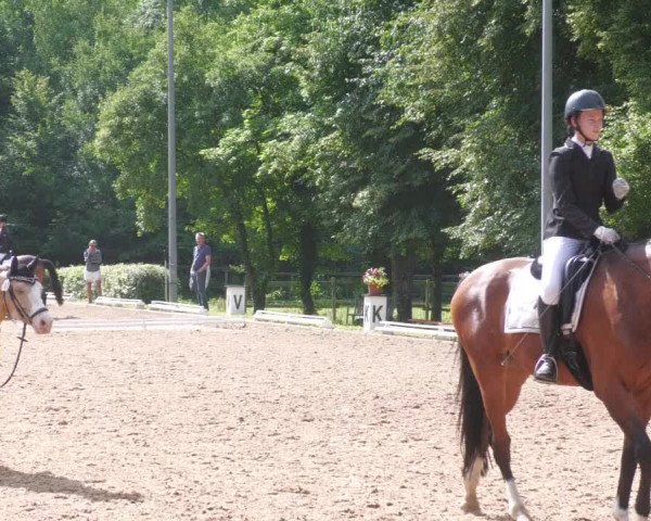 Reitturnier Nürtingen 2022