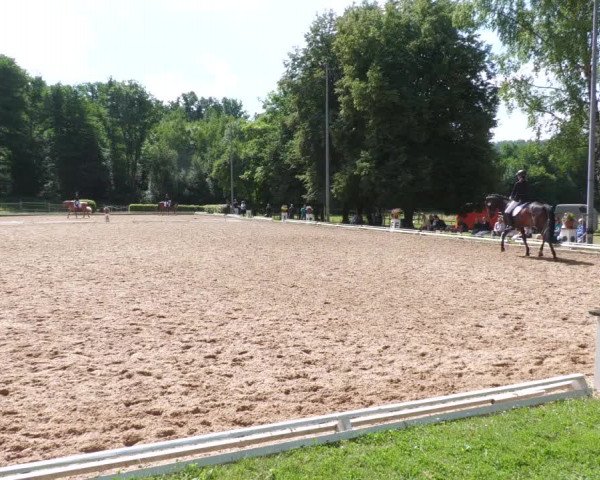 Reitturnier Nürtingen 2022