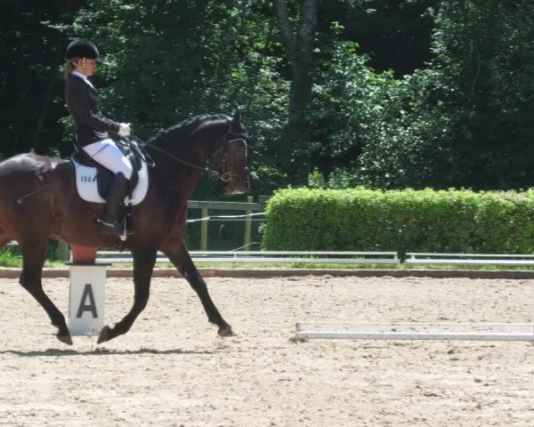 Reitturnier Nürtingen 2022
