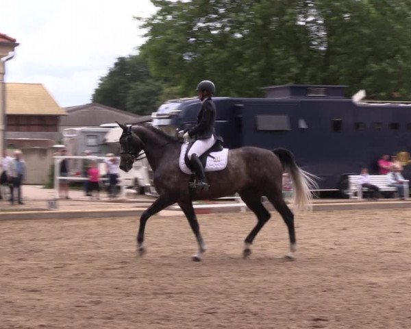 Reitturnier Redefin 2022