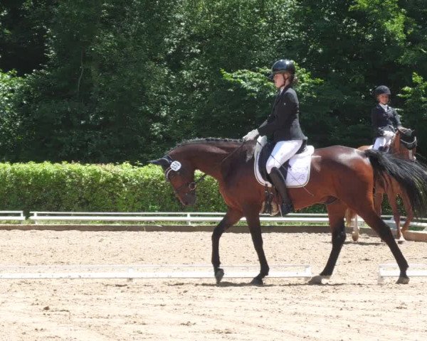 Reitturnier Nürtingen 2022