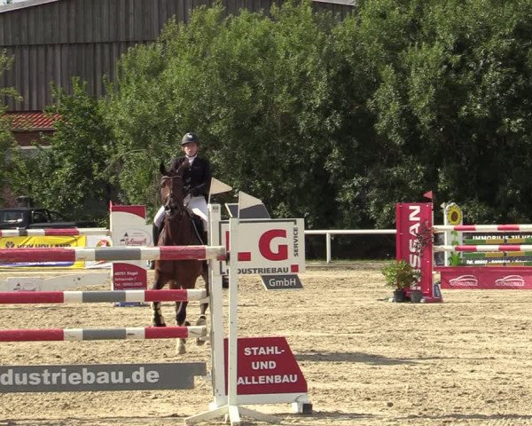 Reitturnier Haren-Raken 2022