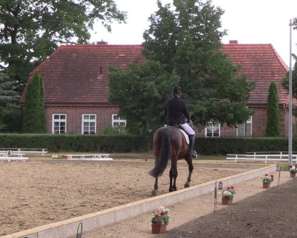 Reitturnier Redefin 2022