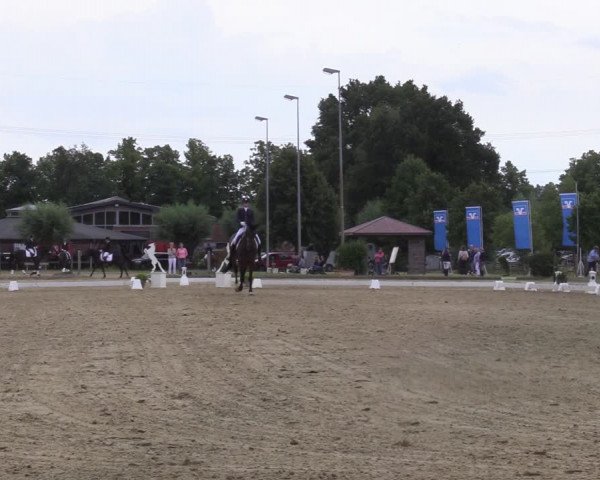 Reitturnier Münster-Roxel 2022