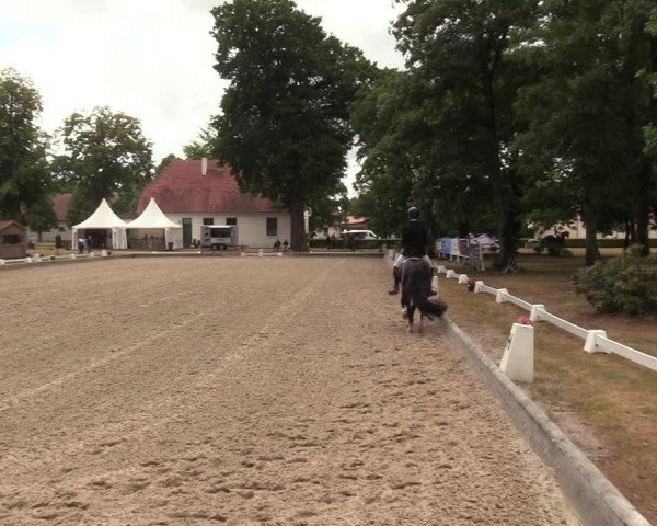 Reitturnier Redefin 2022