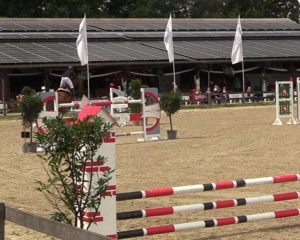 Reitturnier Münster-Roxel 2022