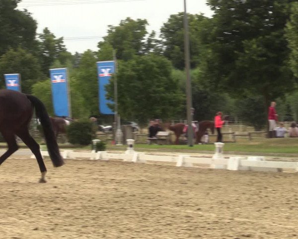 Reitturnier Münster-Roxel 2022