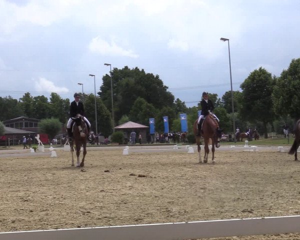 Reitturnier Münster-Roxel 2022