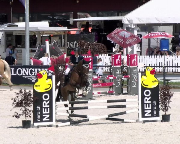 Reitturnier Gossau (Stall Sommersweid) 2022