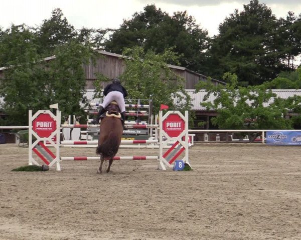Reitturnier Haren-Raken 2022