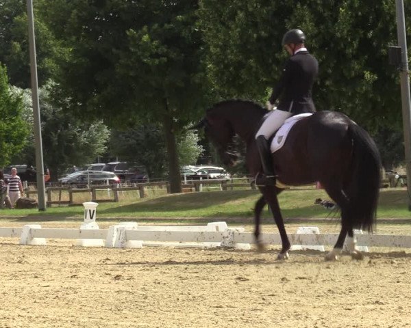 Reitturnier Münster-Roxel 2022