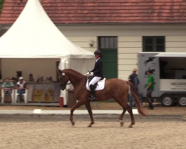 Reitturnier Redefin 2022