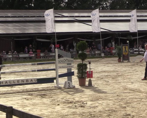 Reitturnier Münster-Roxel 2022