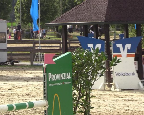 Reitturnier Münster-Roxel 2022
