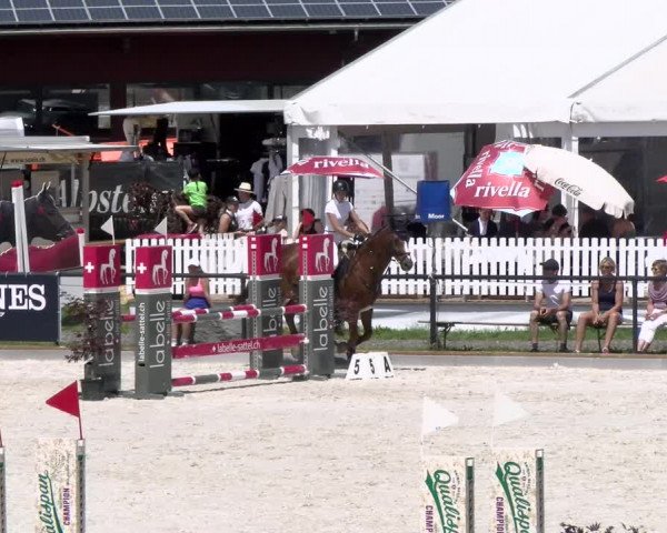 Reitturnier Gossau (Stall Sommersweid) 2022