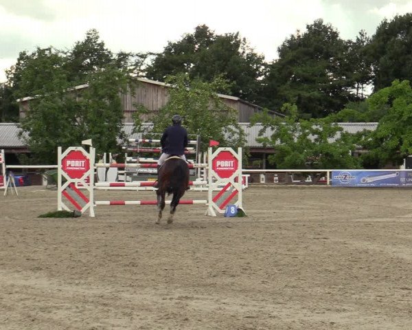 Reitturnier Haren-Raken 2022