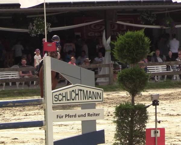Reitturnier Münster-Roxel 2022